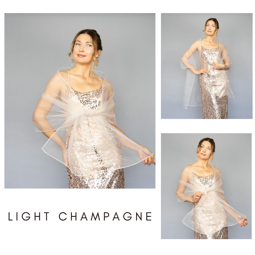 Light Champagne organza wrap silver grey sheer shawl scarf silver grey sheer shrug bridesmaids scarf woman sheer scarf evening shawl prom